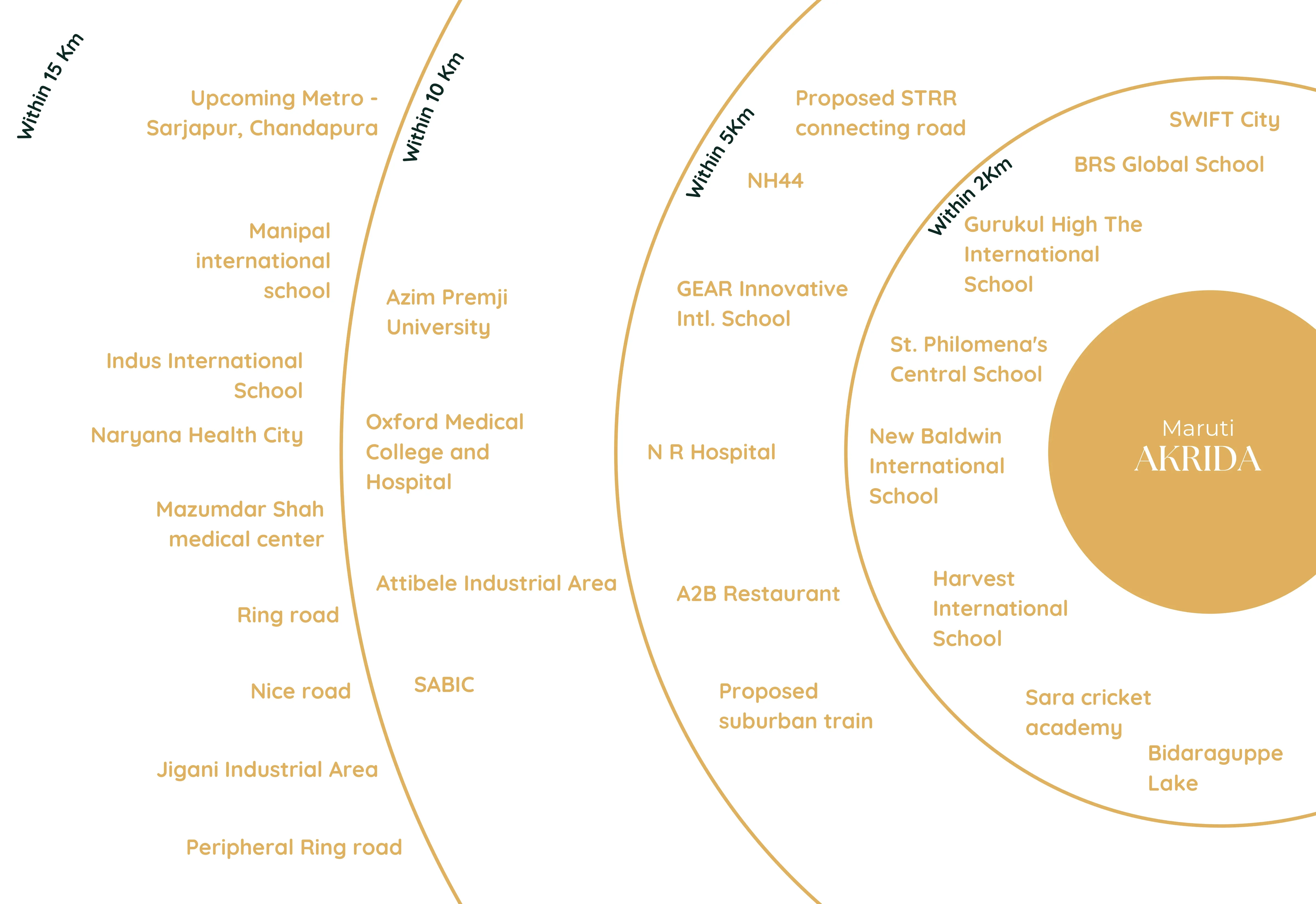 Akrida Gallery Image 5